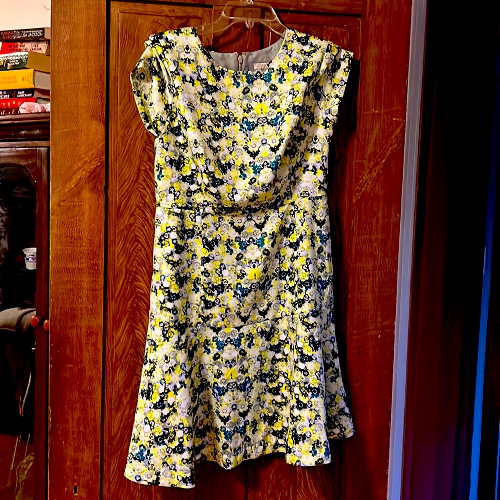 J crew dress